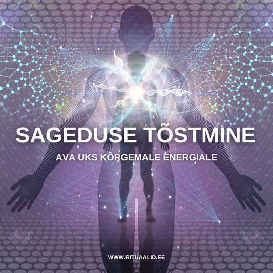 SAGEDUSE TÕSTMINE